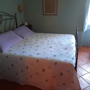  Couette-café Gli Ulivi Italie